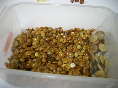 Flat chololate coor loose round amber beads (drilled)