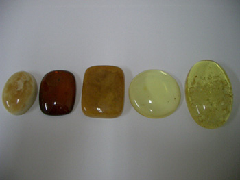 Buy amber cabochons - amber cabs - amber cabochons - Baltic amber - wholesale amber cabochons - wholesale Baltic amber cabs - wholesaler