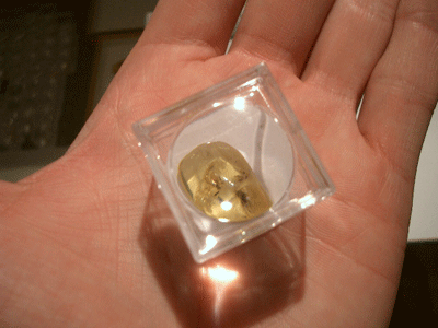Amber bug trapped in amber - amber forrils and inclusions wholesale shop - magnifier box - magnifying boxex