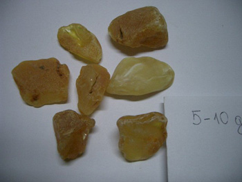 Baltic amber gem stones - raw amber gems - rough amber gem